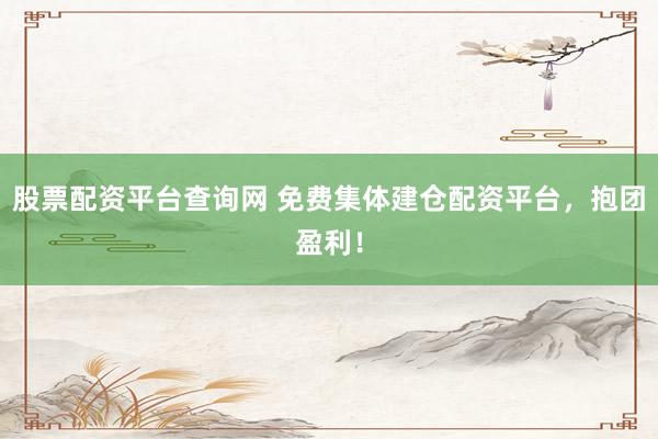 股票配资平台查询网 免费集体建仓配资平台，抱团盈利！