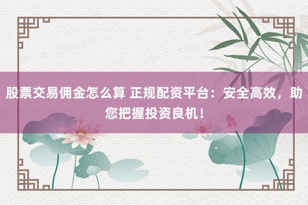 股票交易佣金怎么算 正规配资平台：安全高效，助您把握投资良机！
