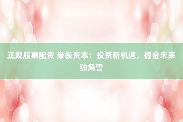 正规股票配资 豪极资本：投资新机遇，掘金未来独角兽