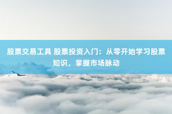 股票交易工具 股票投资入门：从零开始学习股票知识，掌握市场脉动