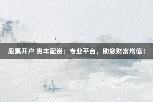 股票开户 贵丰配资：专业平台，助您财富增值！